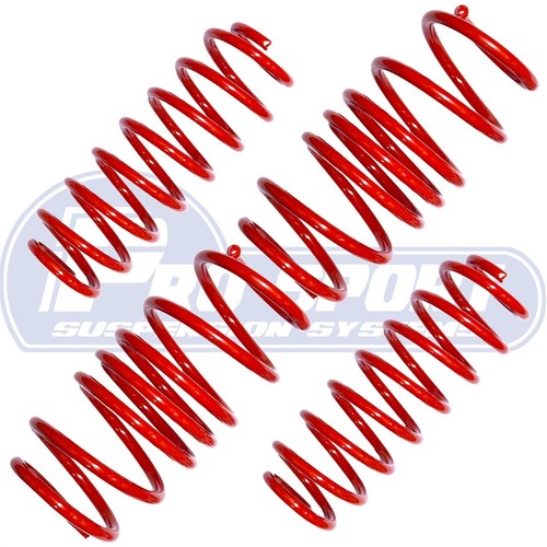 Pro sport lowering springs - pro,