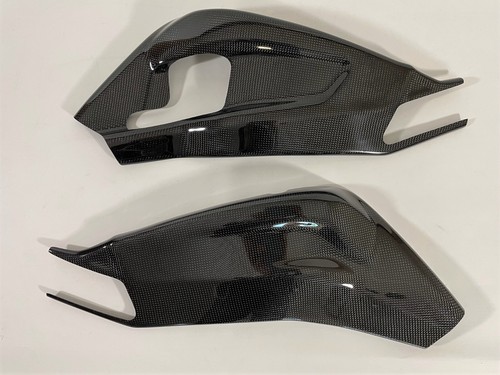 Swing arm protectors - arm, carbon