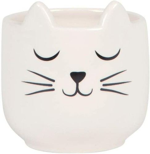 Sass belle mini cat s - &,