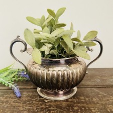 Antique Silver Plated Planter 1800s Victorian Indoor Plant Pot Vase Eclectic