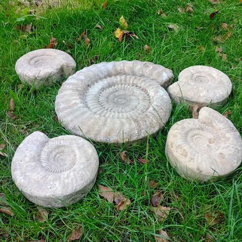 Ammonite garden feature - , 5