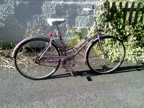 Raleigh caprice dutch loop - raleigh,