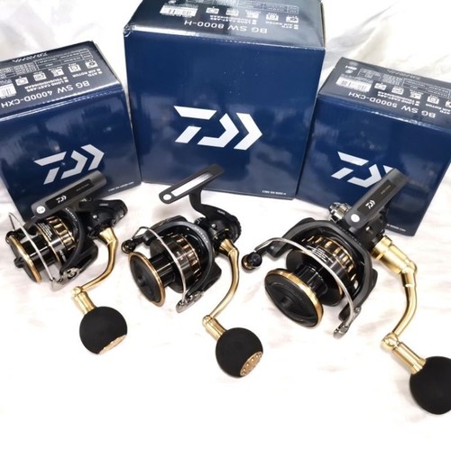 Daiwa sw series - 23, bg