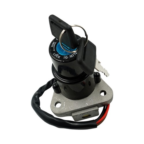 Ignition switch lock cylinder - ignition,