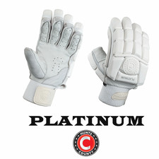 Hunts County Cricket Batting