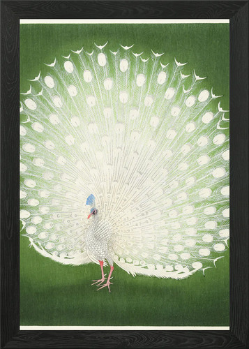 Peacock fan framed wall - fan,