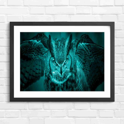 Intense owl with spread - intense,