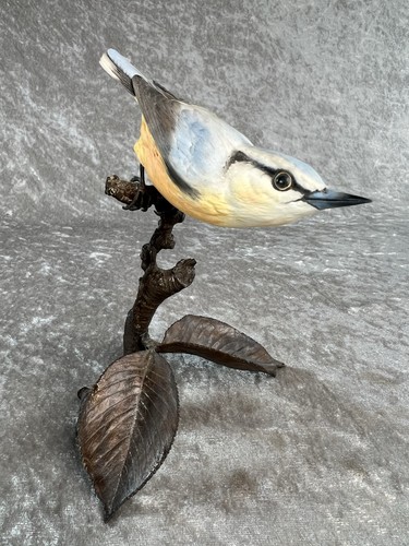 Albany nuthatch porcelain - albany, bird