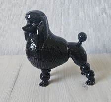 Vintage Black Poodle Dog Figurine Ornament Glossy 14cm X 18cm
