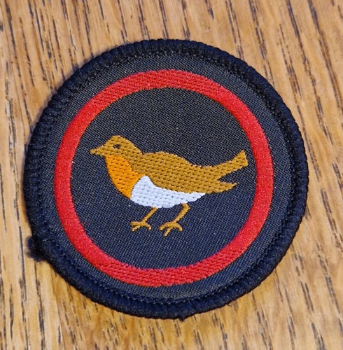 Girlguiding old robin guide - girlguiding,