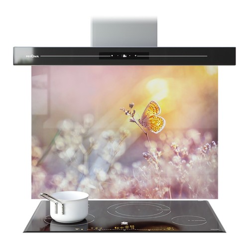 Kitchen glass splashback - kitchen,