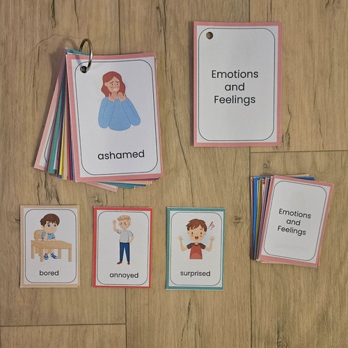 Emotions and feelings flash - feelings,