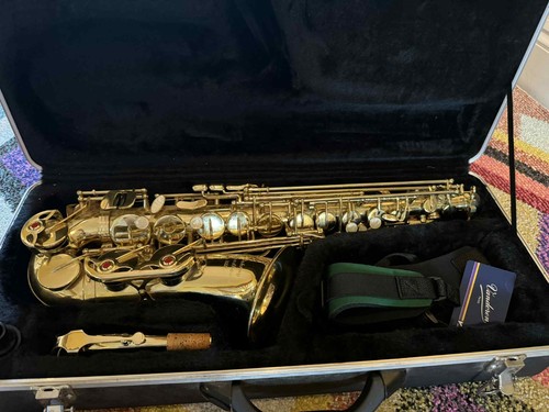 Alto sax johnny roadhouse - johnny,
