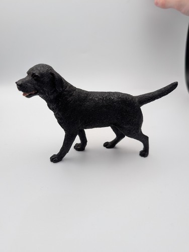 Country artists black labrador - black,