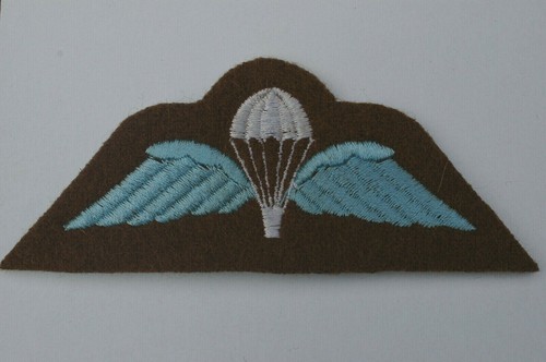 Parachute wings brevets - wings,
