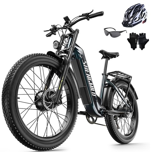 Dual motor electric - electric, bike