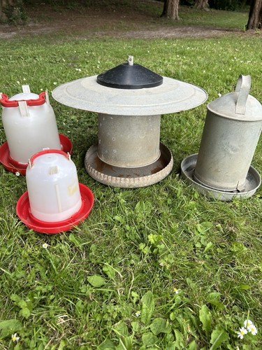 Galvanised chicken poultry - galvanised,