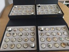 Treasures Of The Earth Mineral