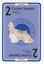 COCKER SPANIEL AMERICAN KENNEL CLUB DOG COLLECTABLE TRADING CARD