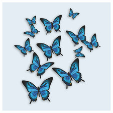 Butterfly Vinyl Sticker Decals