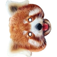 Red Panda Bear Animal