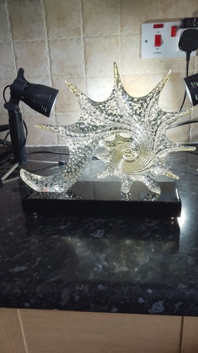 Large resin conch starfish - large,