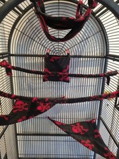 6 Piece Sugar Glider Cage Set