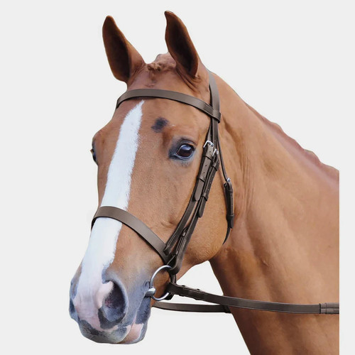 Shires velociti gara plain - shires,