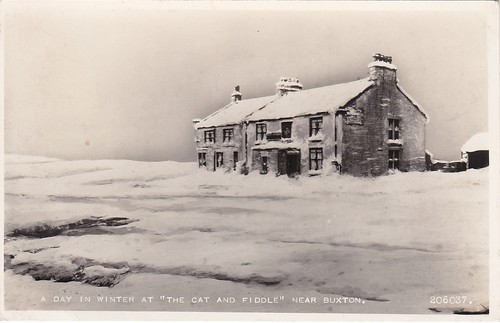 The cat fiddle - cat, inn,