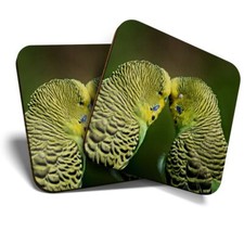 2 x Coasters - Green Yellow Budgie Pair Bird  #45239
