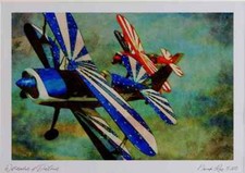 781061 Pitts Special