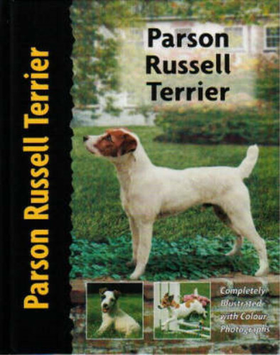Parson russell terrier - parson, (pet