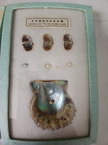 Vintage mother pearl - vintage,