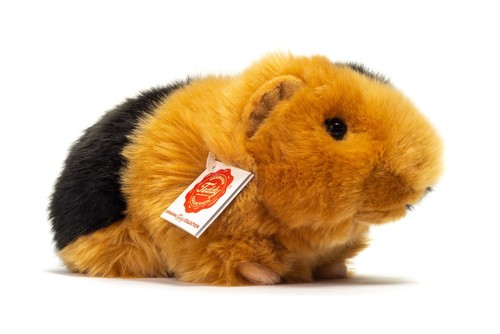 Teddy hermann guinea - hermann,