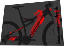 CANNONDALE SCALPEL F29 DECAL