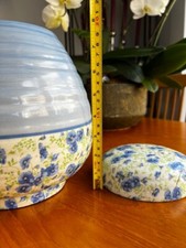 Shelley Blue Pansy Chintz
