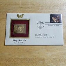 Spay Your Pet Female Kitten