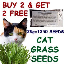 Cat Grass Seeds 25g BUY 2 GET