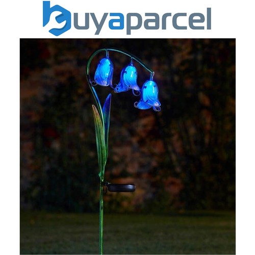 Smart garden bluebell flower - smart,