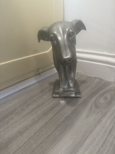 Greyhound racing trophy dog - greyhound,