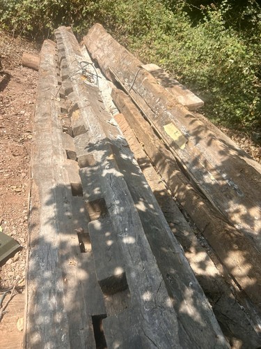 Elm beams - elm,