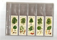 TREES OF THE COUNTRYSIDE FULL