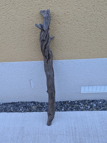 Driftwood stick for art crafts - driftwood,