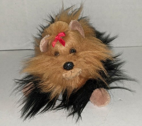 Aurora yorkshire terrier - aurora,