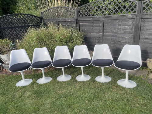 Set tulip style - set, 6