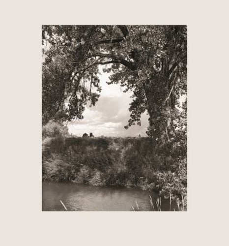 Robert adams cottonwoods - adams:,