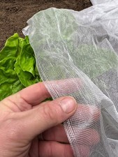 Biodegradable garden netting - garden,
