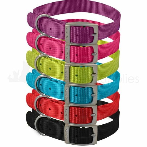 Ancol viva nylon dog puppy - nylon,
