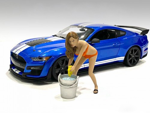 Bikini car wash - car,