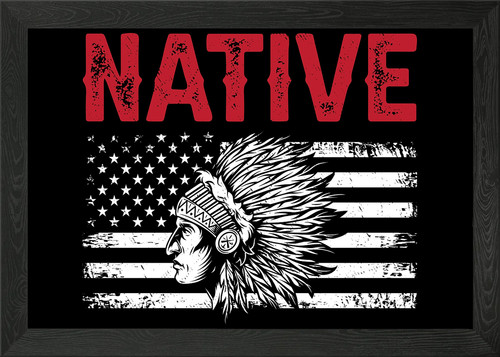 Native american flag - flag, framed